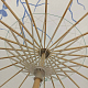 photo-2897712